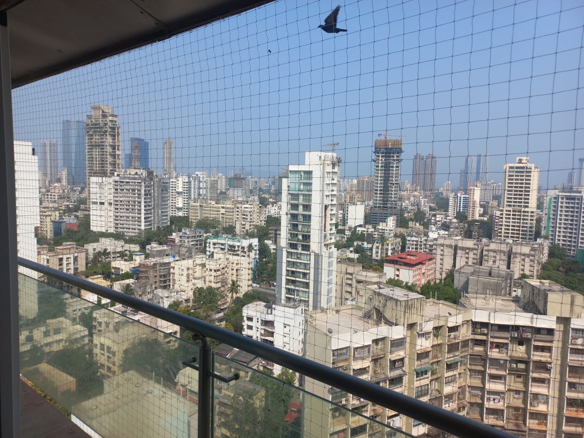Global Bird Netting Services