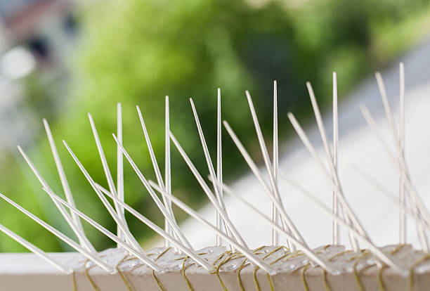 Global Bird Netting Services